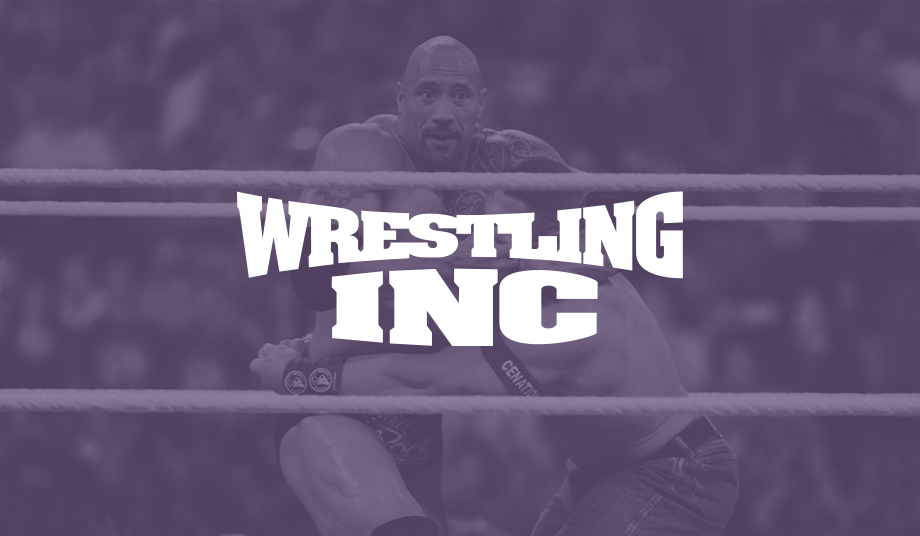 Wrestling Inc. Brand - WWE